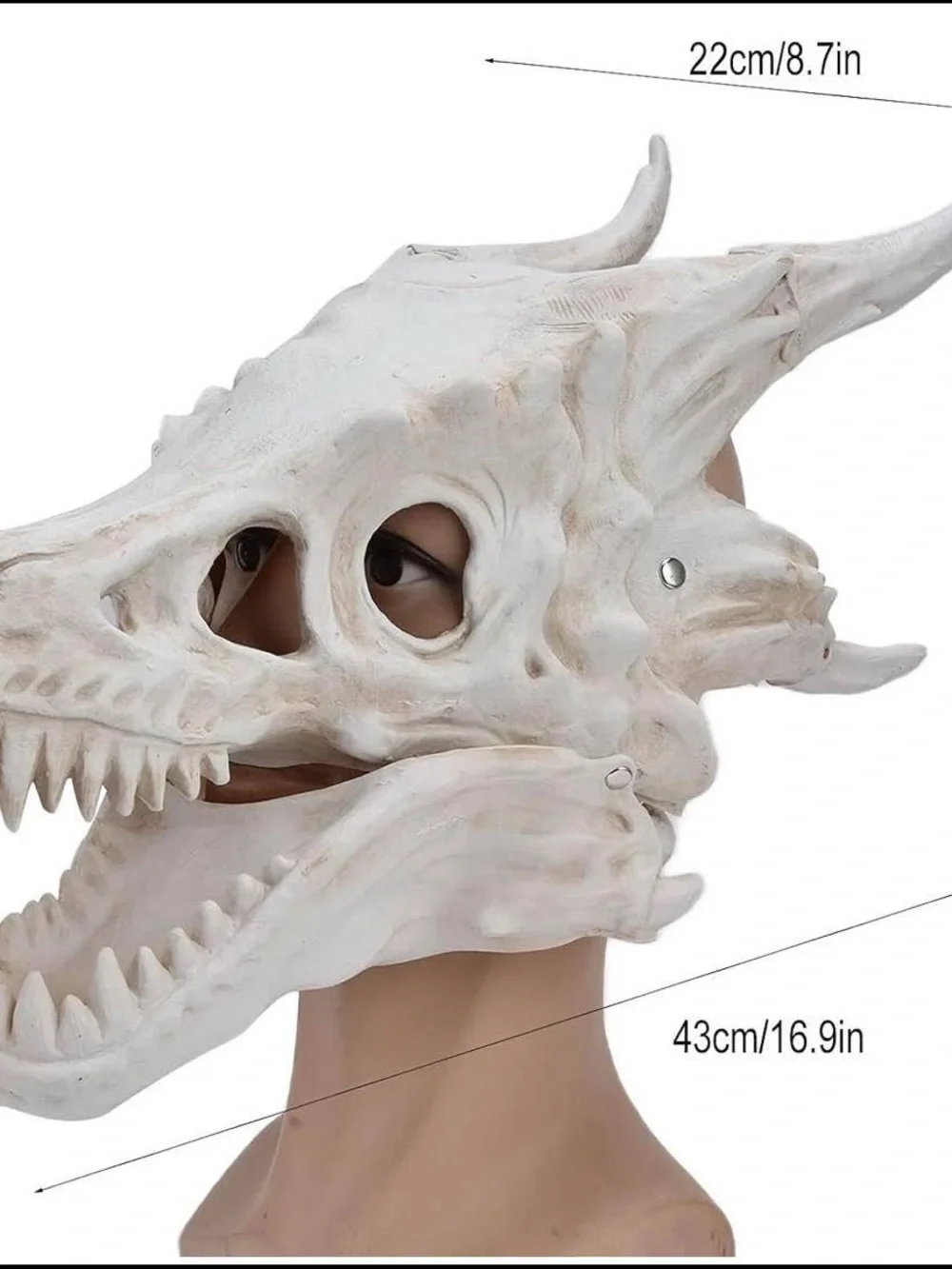 N/A realistic dragon